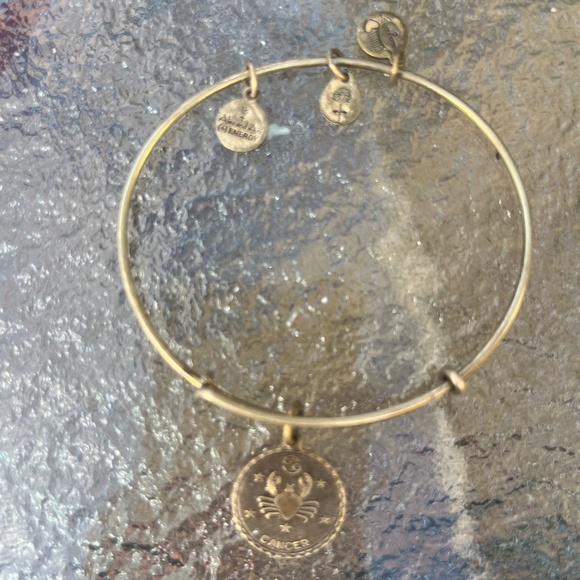 Cancer sign Alex and ani bracelet - Picture 1 of 1